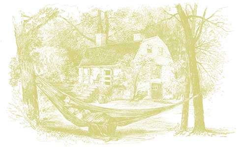 hammockgreen.0.jpg