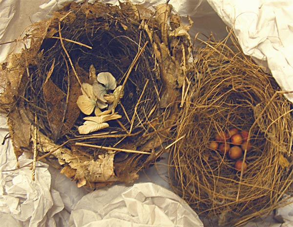 papernests