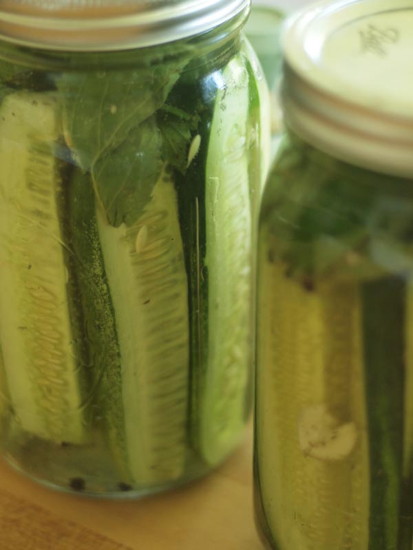 fermented-pickles